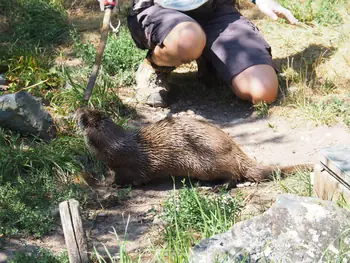 NaturOparC Hunawihr, Alsace (France)